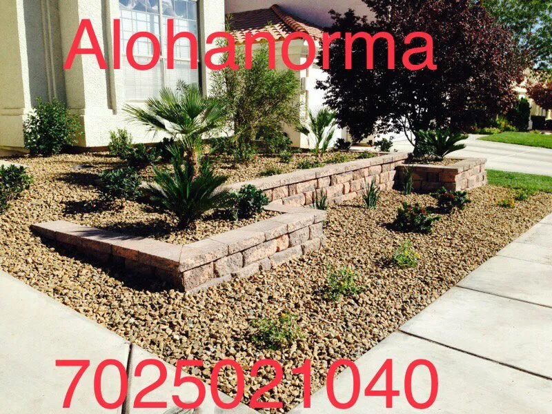 Custom landscape design for year-round maintenance in Las Vegas, NV by Landscaping Aloha Norma