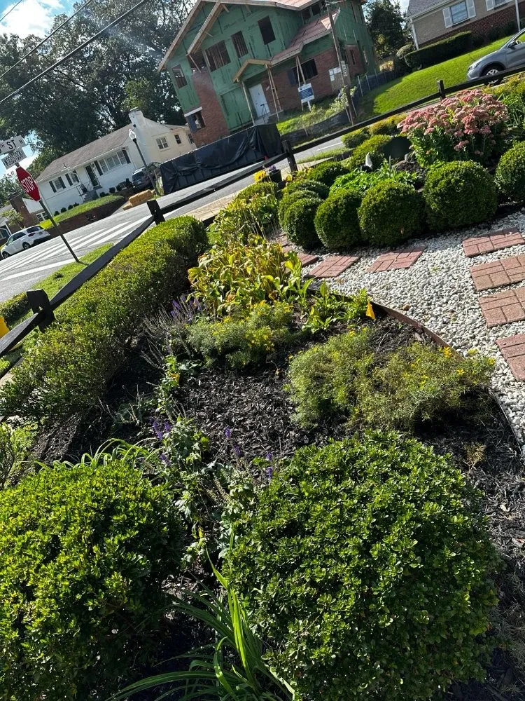 Expert garden landscaping in Arlington, VA - Landscaping and Lawn Services