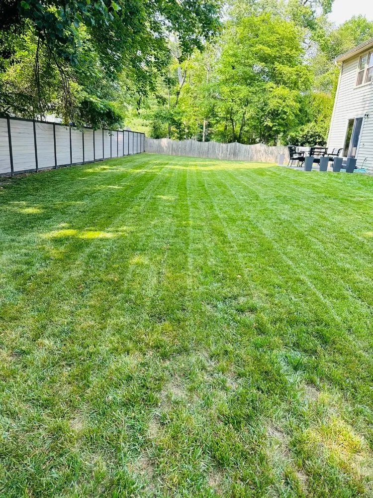 Trusted yard maintenance in Arlington, VA - Landscaping and Lawn Services