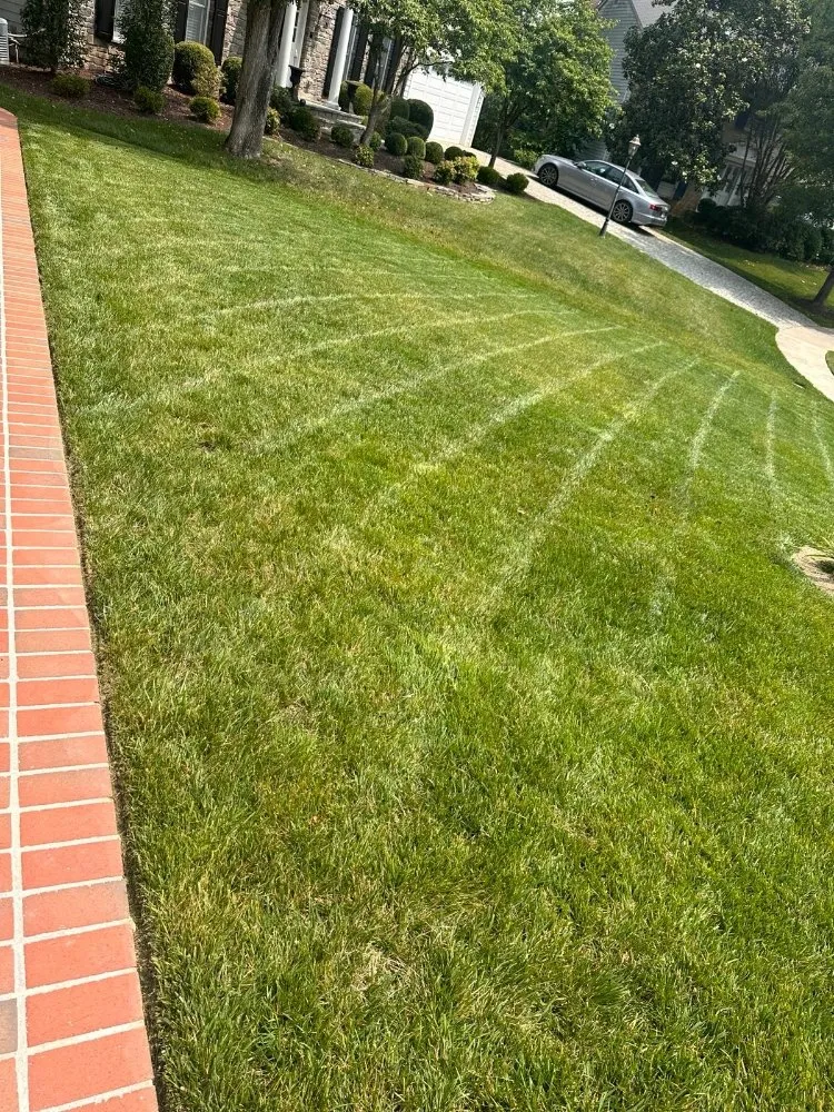 Local lawn mowing service in Arlington, VA - Landscaping and Lawn Services