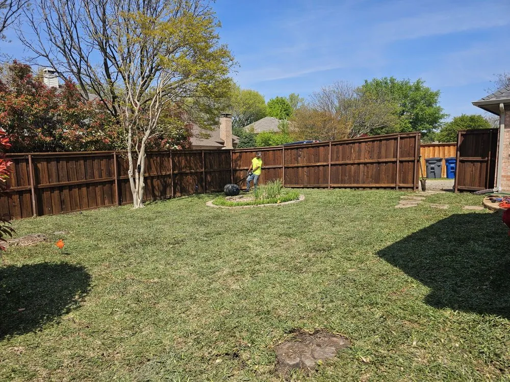 Affordable yard cleanup service experts serving Plano, TX - Landscaping And More MG