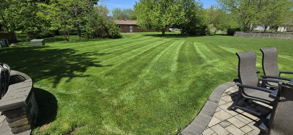 Local yard cleanup service experts serving Montgomery, IL - Landscaping and More