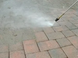 Affordable outdoor landscaping in Naples, FL - Landscaping and more