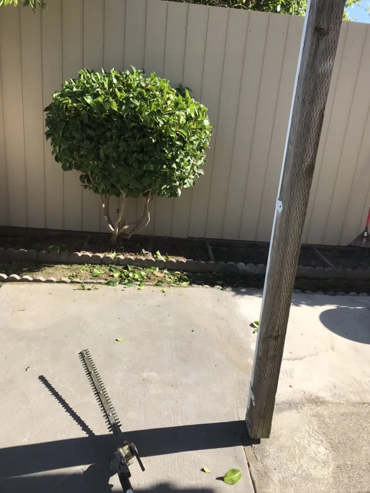 Affordable landscape design for residential properties across Seattle, WA - Landscaping And More