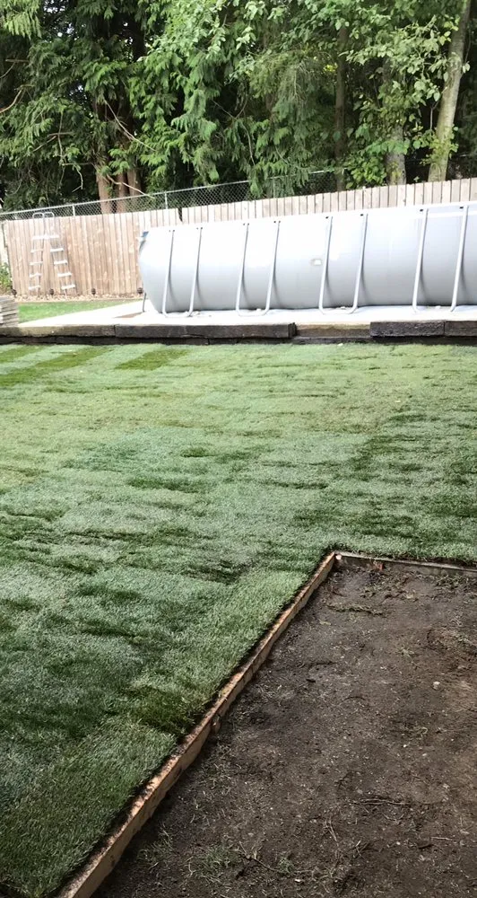 Expert yard maintenance experts serving Seattle, WA - Landscaping And More