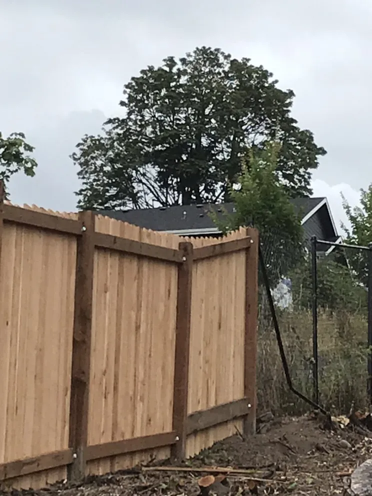 Trusted garden landscaping for beautiful yards in Seattle, WA by Landscaping And More