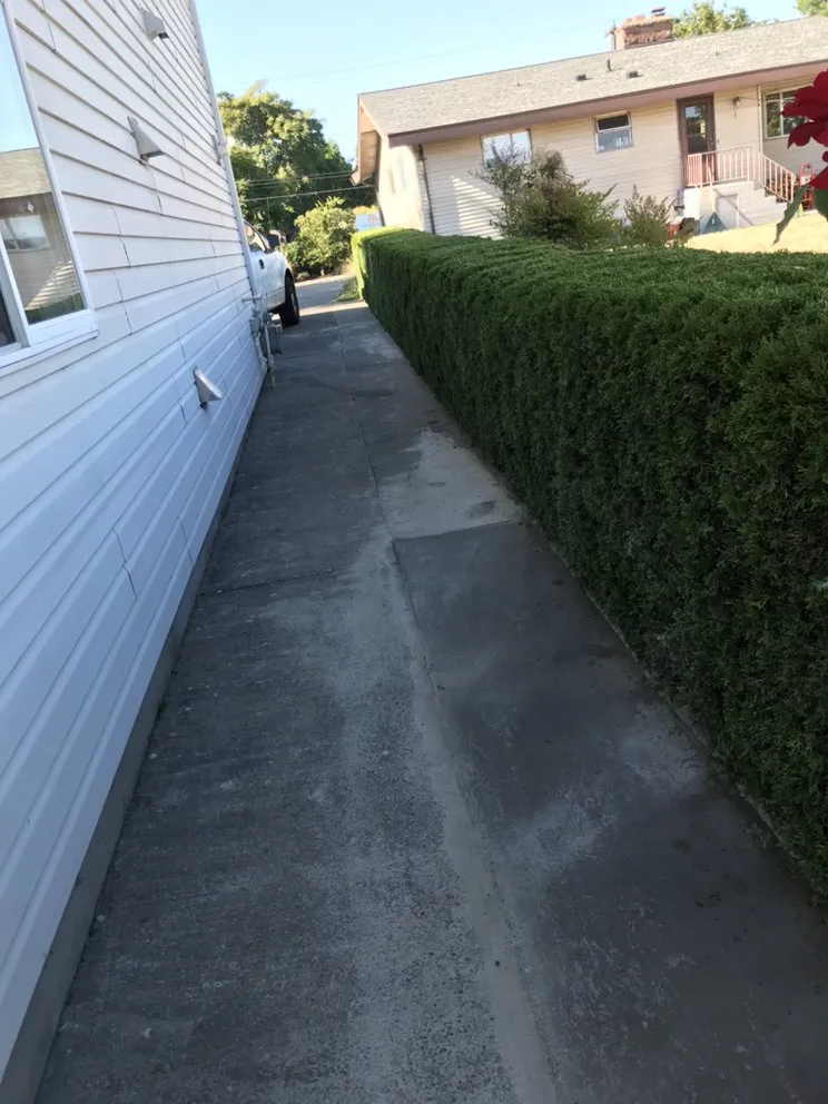 Expert landscape design in Seattle, WA - Landscaping And More