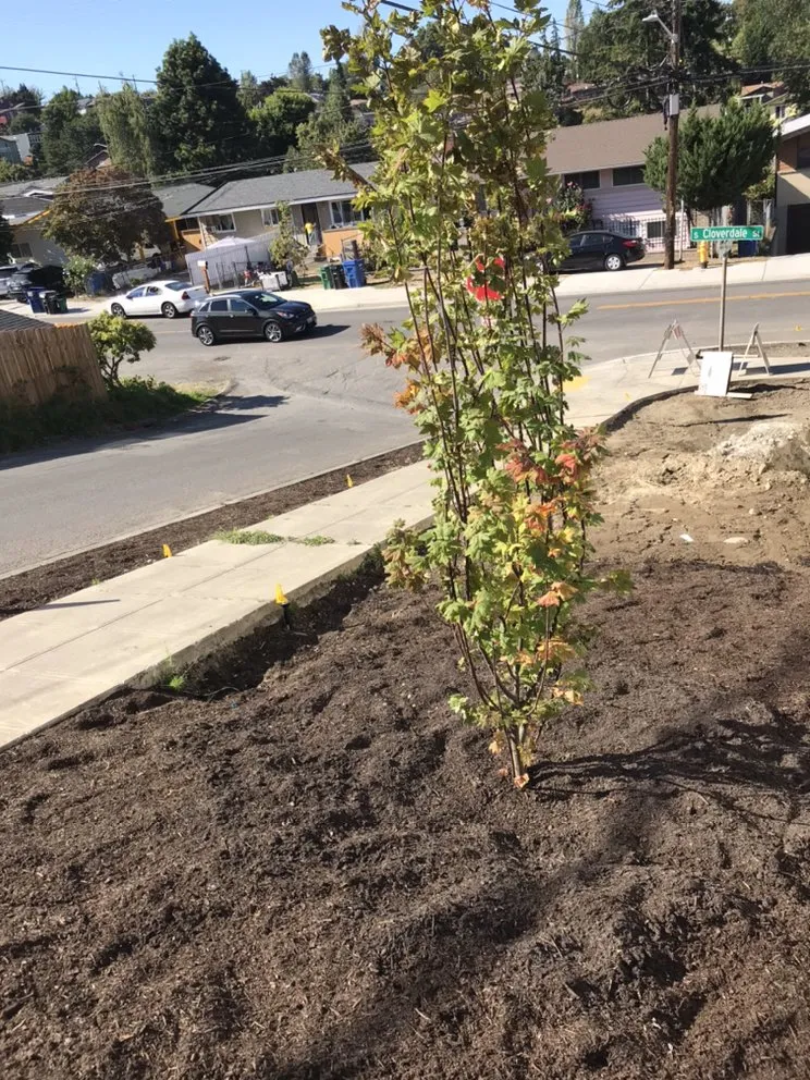 Custom residential landscaping for homes across Seattle, WA - Landscaping And More