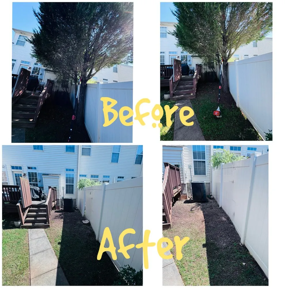 Trusted residential landscaping in Charlotte, NC - Landscaping and Tree Service Solutions