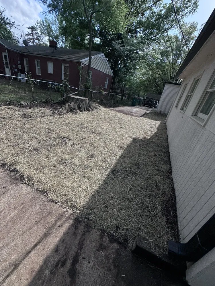 Professional lawn care service in Charlotte, NC - Landscaping and Tree Service Solutions