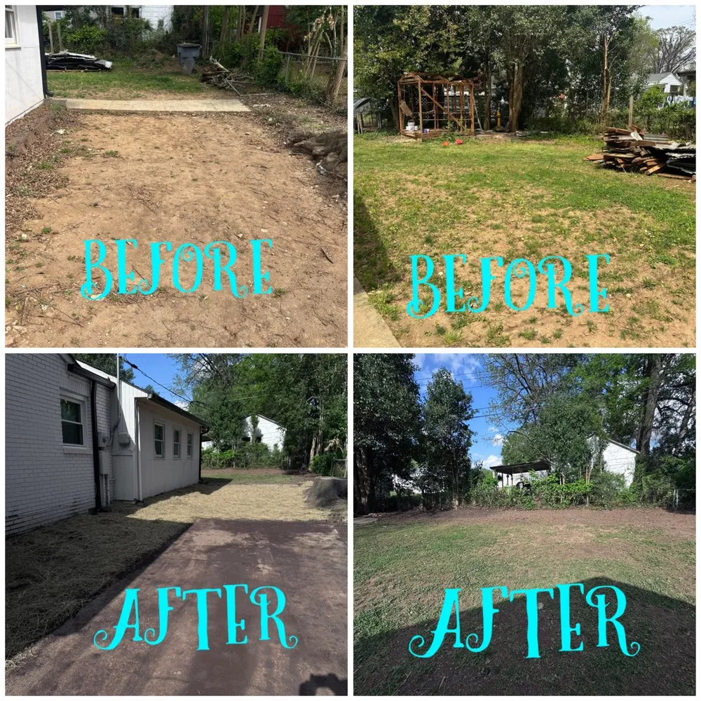 Local landscape design in Charlotte, NC by Landscaping and Tree Service Solutions