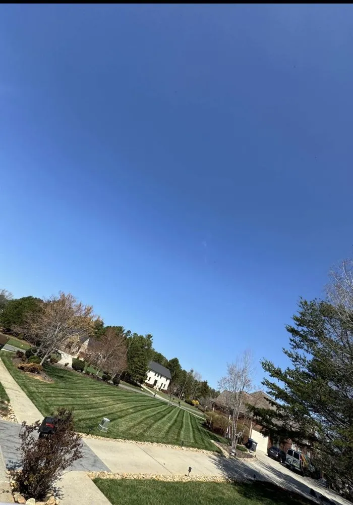 Expert residential landscaping in Charlotte, NC - Landscaping and Tree Service Solutions