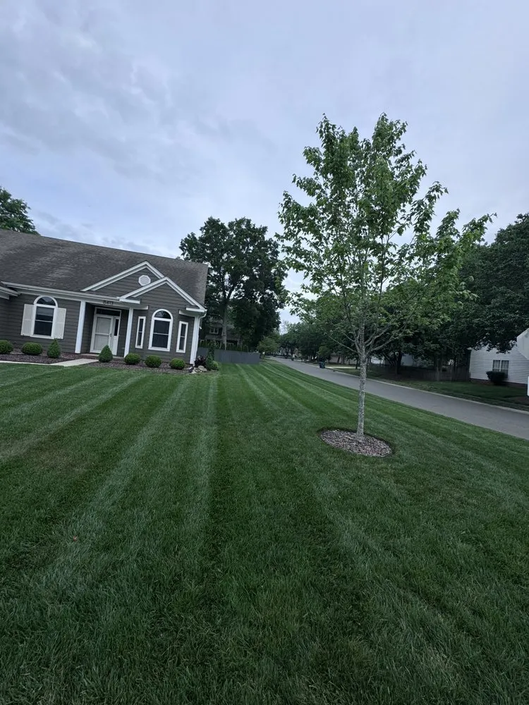 Trusted yard maintenance in Charlotte, NC - Landscaping and Tree Service Solutions