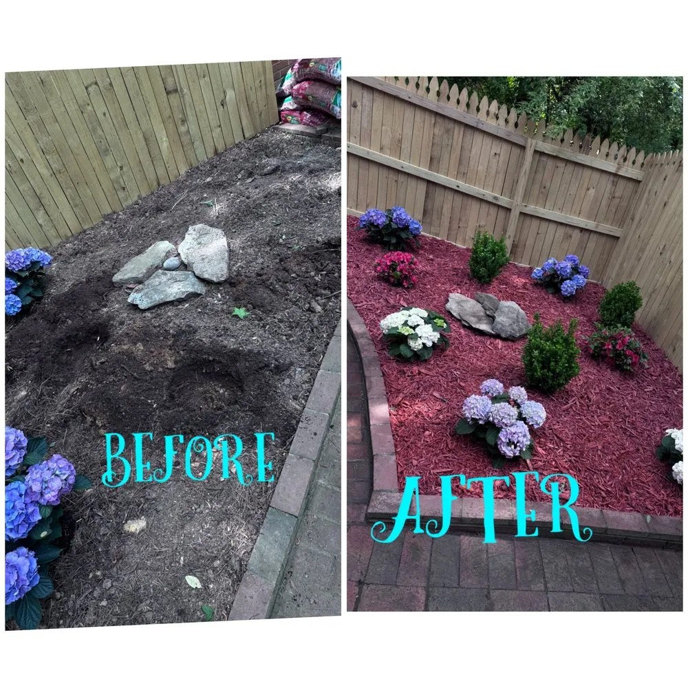 Reliable lawn mowing service near you in Charlotte, NC by Landscaping and Tree Service Solutions