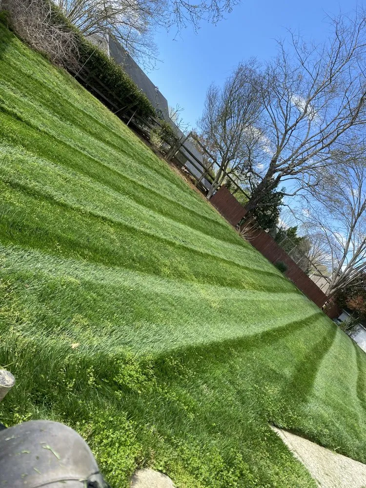 Local landscape design in Charlotte, NC by Landscaping and Tree Service Solutions