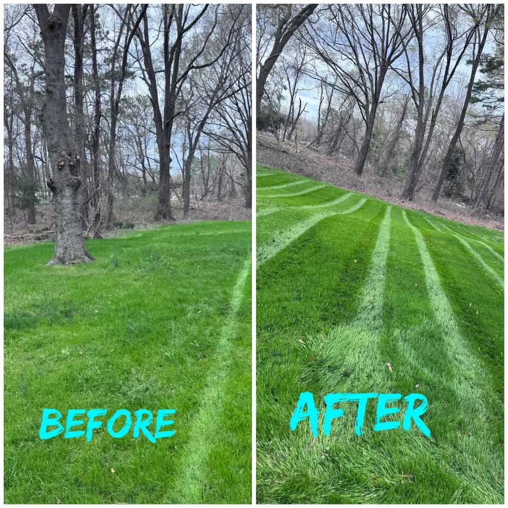 Custom yard maintenance experts serving Charlotte, NC - Landscaping and Tree Service Solutions