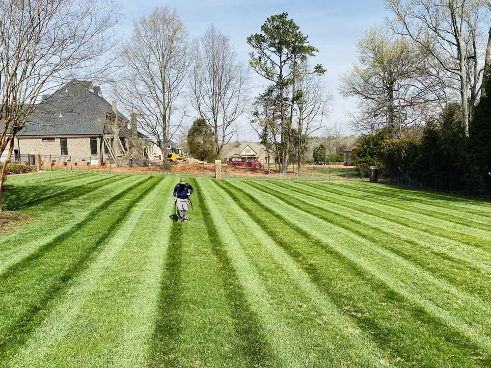 Professional yard cleanup service in Charlotte, NC by Landscaping and Tree Service Solutions
