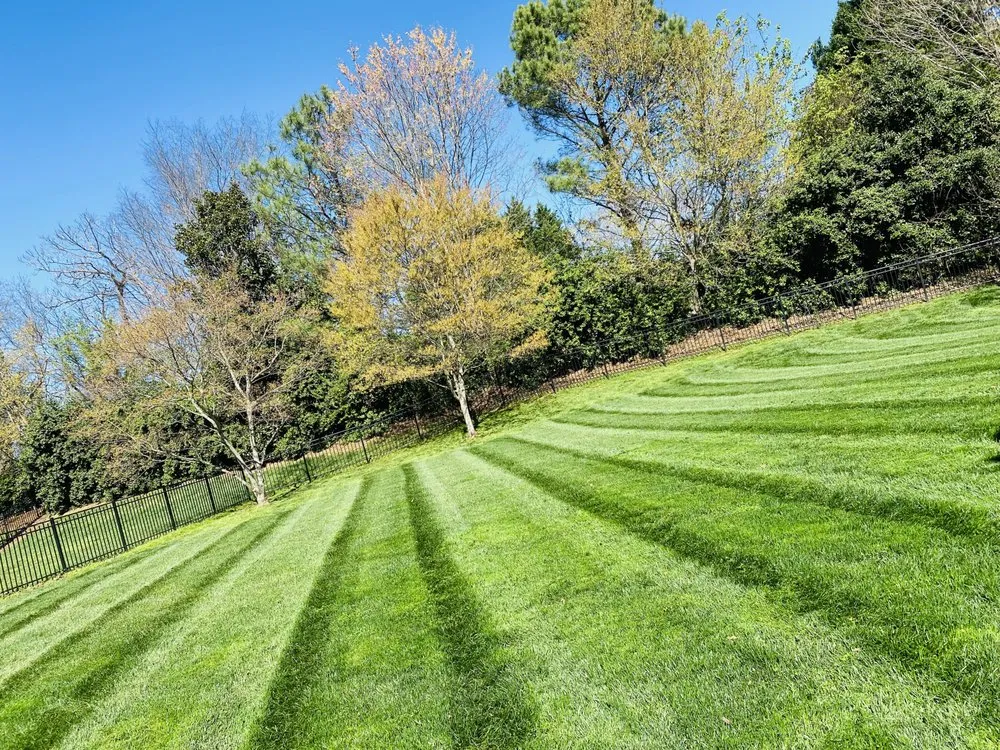 Expert yard cleanup service for year-round maintenance across Charlotte, NC - Landscaping and Tree Service Solutions