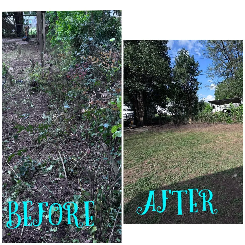Local lawn care service for year-round maintenance across Charlotte, NC - Landscaping and Tree Service Solutions