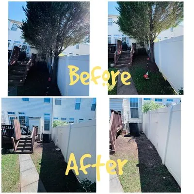 Landscaping and Tree Service Solutions Logo