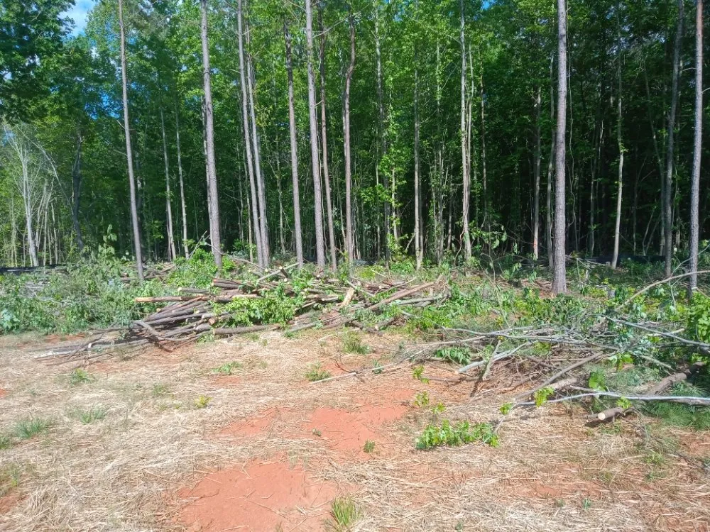 Professional lawn care service for year-round maintenance in Chapel Hill, NC by Landscaping and tree trimming