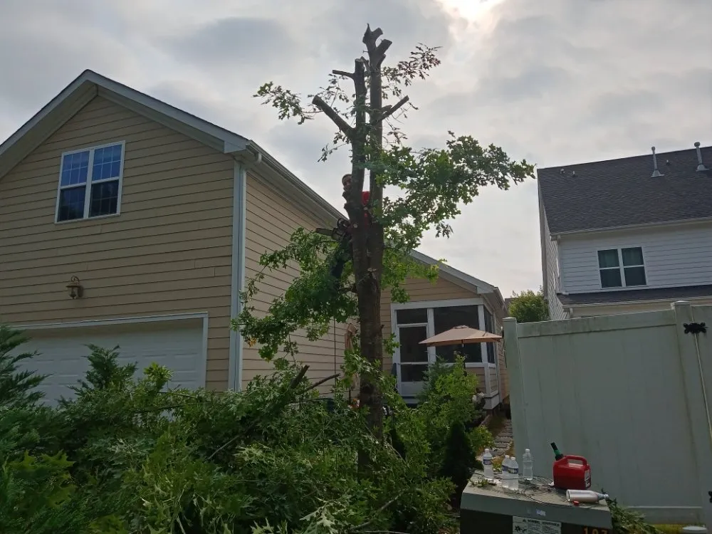 Reliable garden landscaping for outdoor upgrades in Chapel Hill, NC by Landscaping and tree trimming