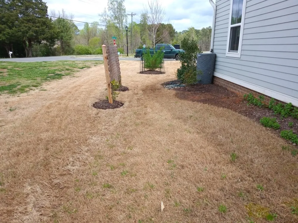 Affordable landscape installation for year-round maintenance in Chapel Hill, NC by Landscaping and tree trimming