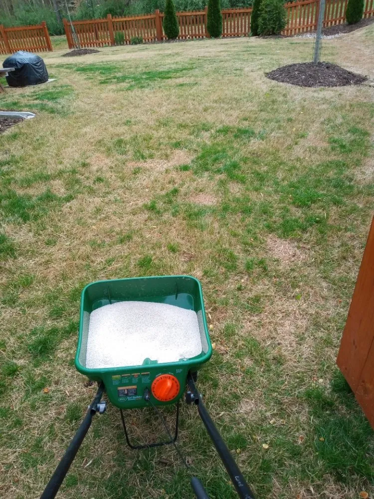 Top-rated landscape design for beautiful yards across Chapel Hill, NC - Landscaping and tree trimming