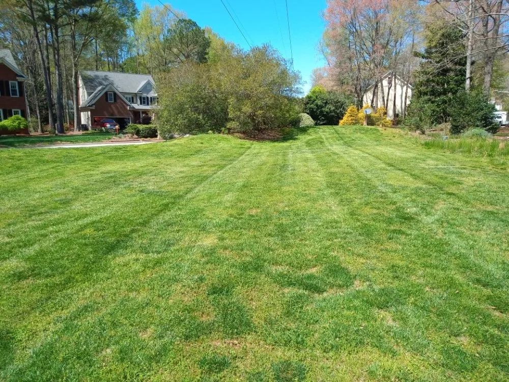 Trusted lawn mowing service for beautiful yards in Chapel Hill, NC by Landscaping and tree trimming