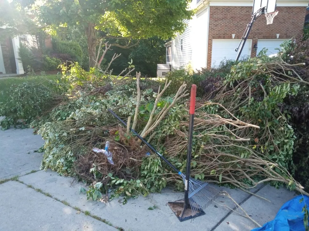 Expert outdoor landscaping experts serving Chapel Hill, NC - Landscaping and tree trimming