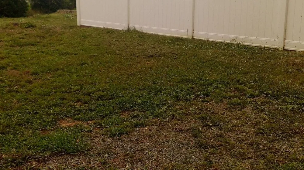 Local landscaping services in Chapel Hill, NC by Landscaping and tree trimming