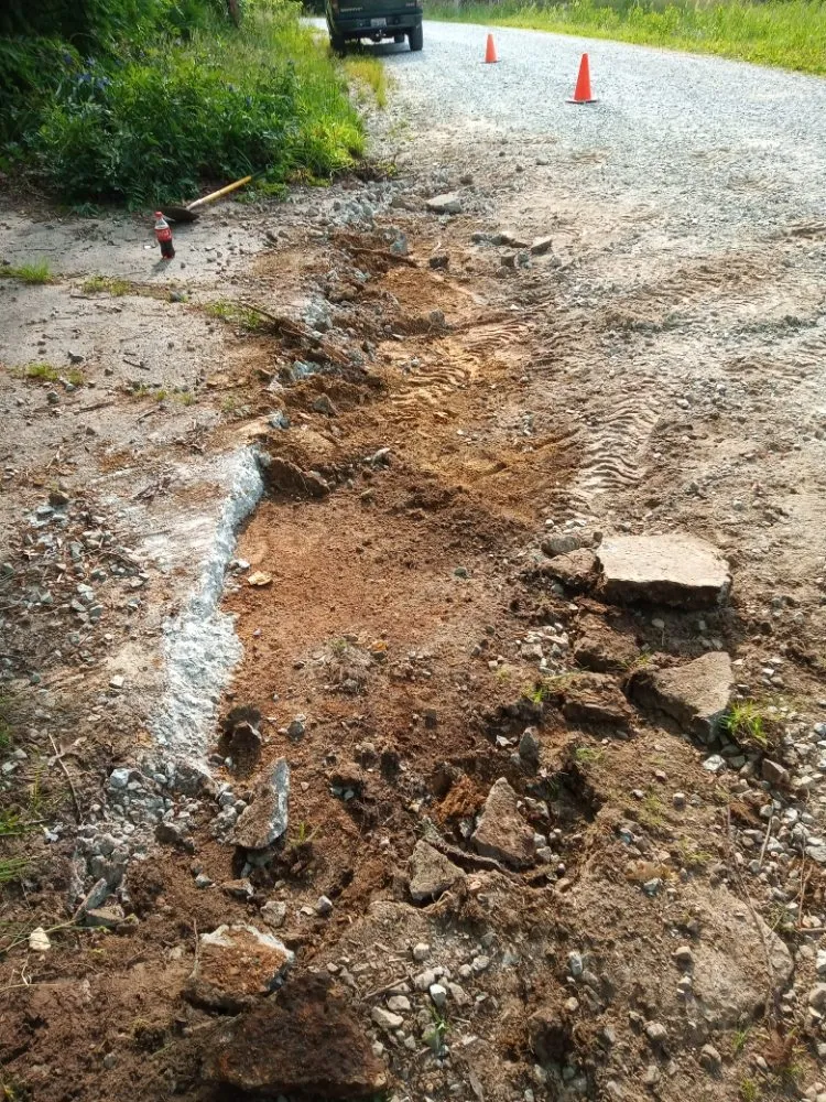 Local residential landscaping experts serving Chapel Hill, NC - Landscaping and tree trimming