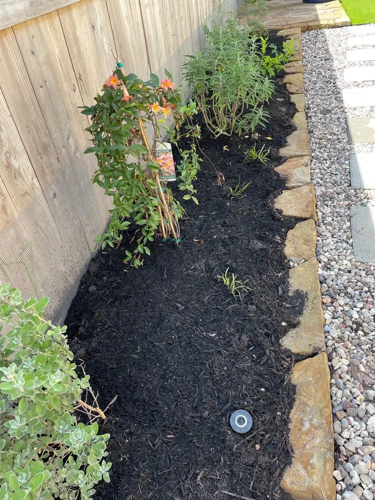 Affordable yard maintenance in Houston, TX by Landscaping and Turf Masters