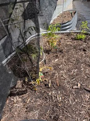Landscaping and Turf Masters Logo