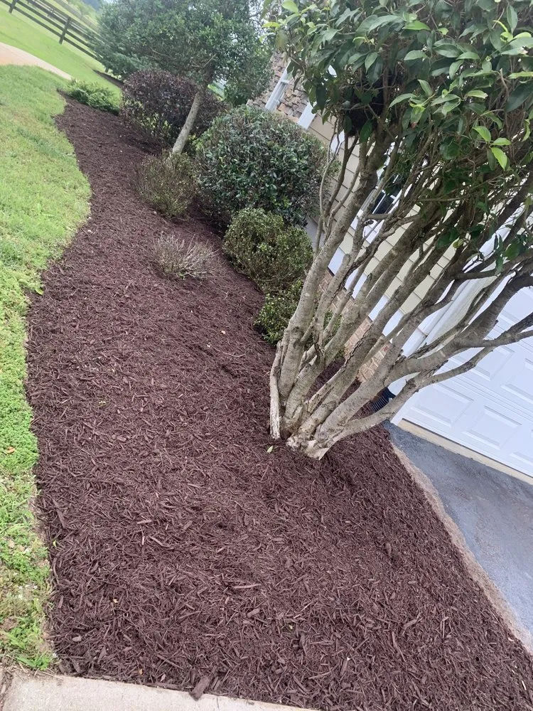 Affordable landscape installation for residential properties in Anderson, SC by Landscaping