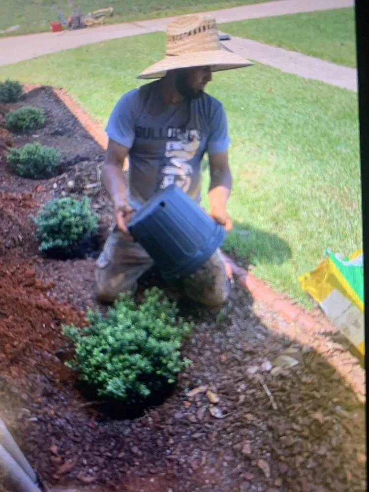 Reliable yard cleanup service experts serving Anderson, SC - Landscaping