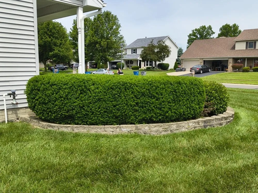 Trusted yard maintenance for beautiful yards in Toledo, OH by Landscaping At Its Finest S&F
