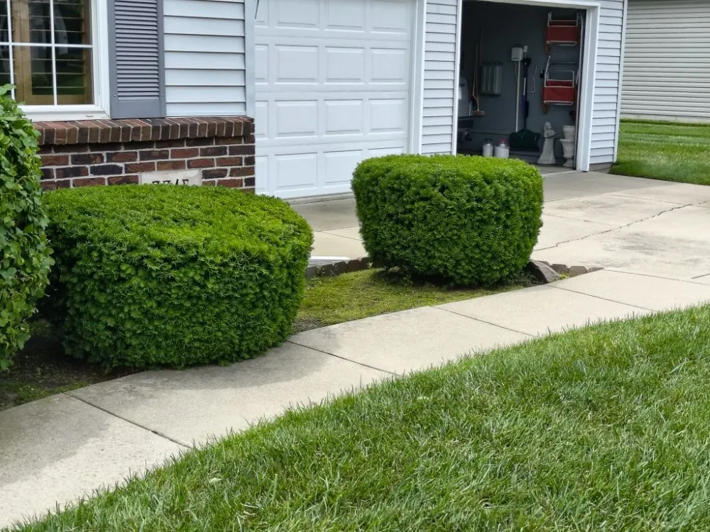 Expert outdoor landscaping for year-round maintenance across Toledo, OH - Landscaping At Its Finest S&F