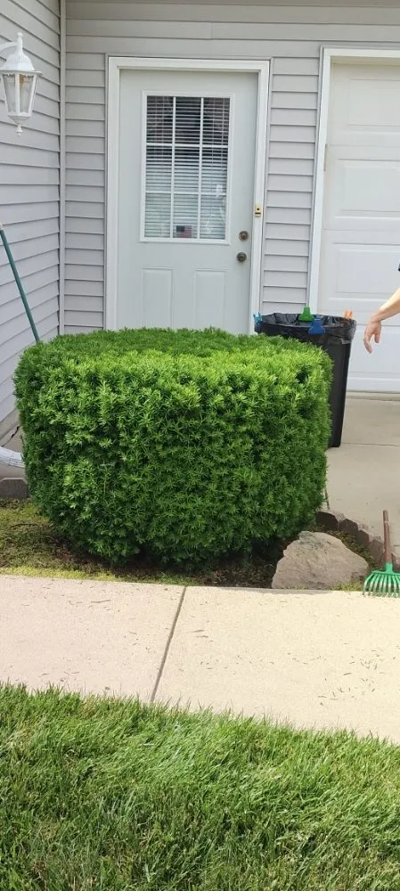 Professional lawn mowing service with custom design in Toledo, OH by Landscaping At Its Finest S&F