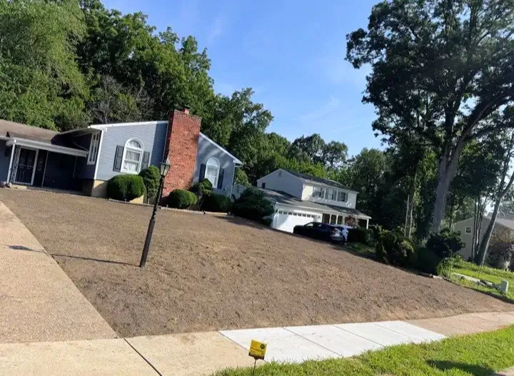 Local residential landscaping for beautiful yards across Camden, NJ - Landscaping AyM