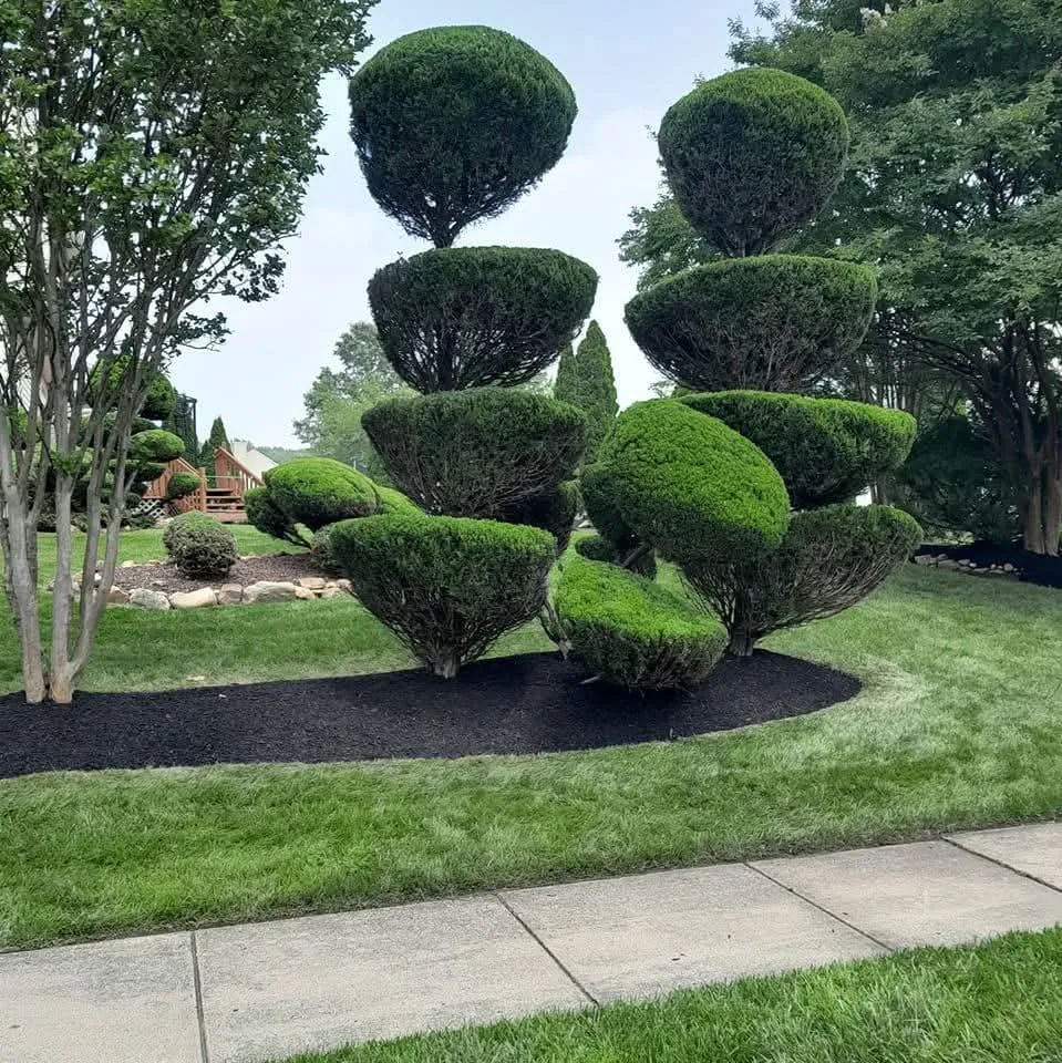 Local residential landscaping near you in Camden, NJ by Landscaping AyM