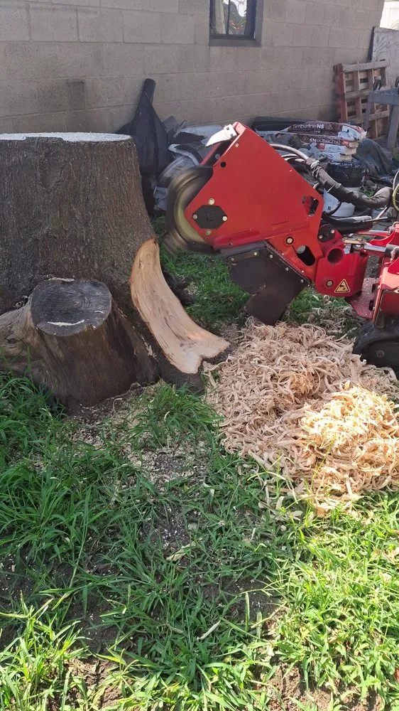 Reliable residential landscaping near you in Camden, NJ by Landscaping AyM