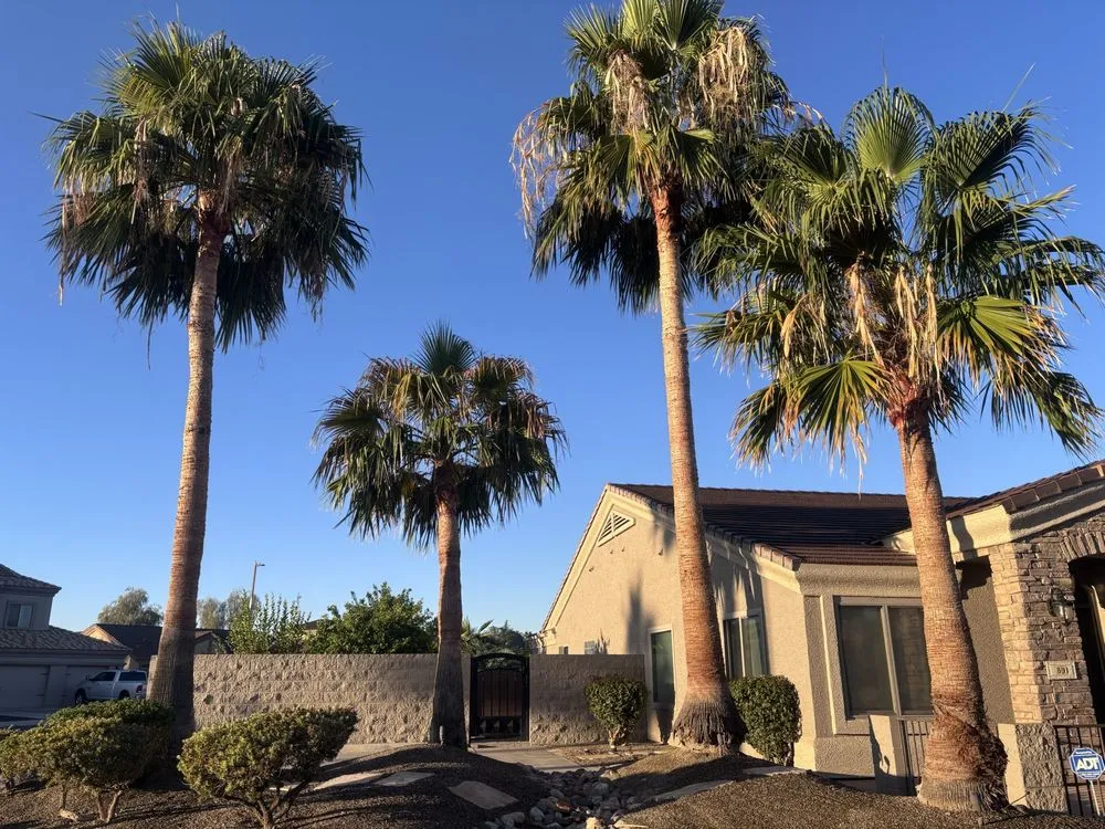 Affordable lawn mowing service in Casa Grande, AZ by Landscaping Barillenses