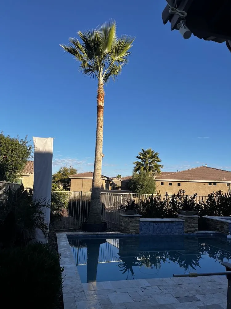 Professional lawn mowing service experts serving Casa Grande, AZ - Landscaping Barillenses