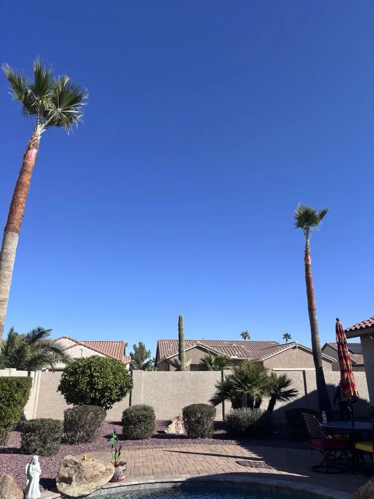 Top-rated lawn mowing service in Casa Grande, AZ - Landscaping Barillenses