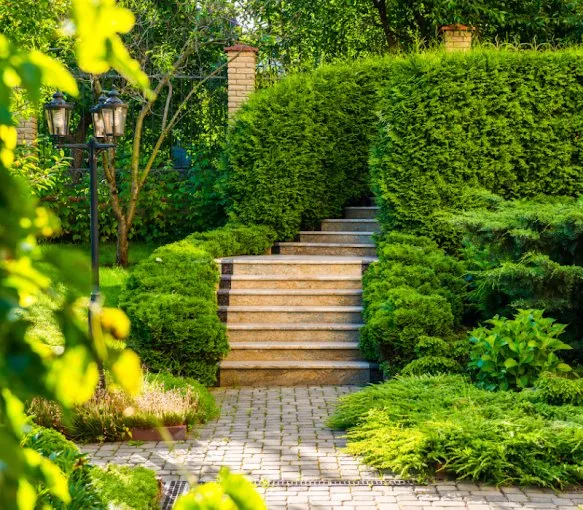 Reliable outdoor landscaping for residential properties across Bastrop, TX - Landscaping Bastrop