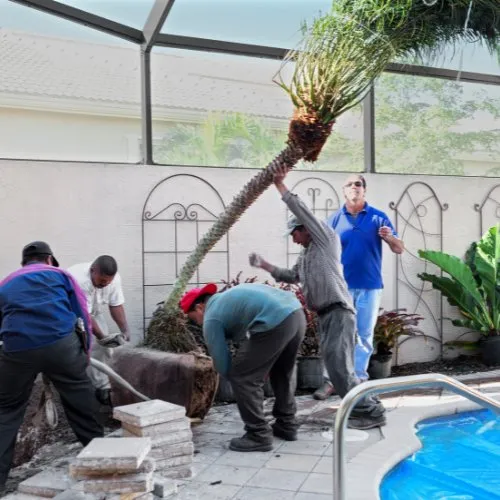 Trusted residential landscaping experts serving Bastrop, TX - Landscaping Bastrop