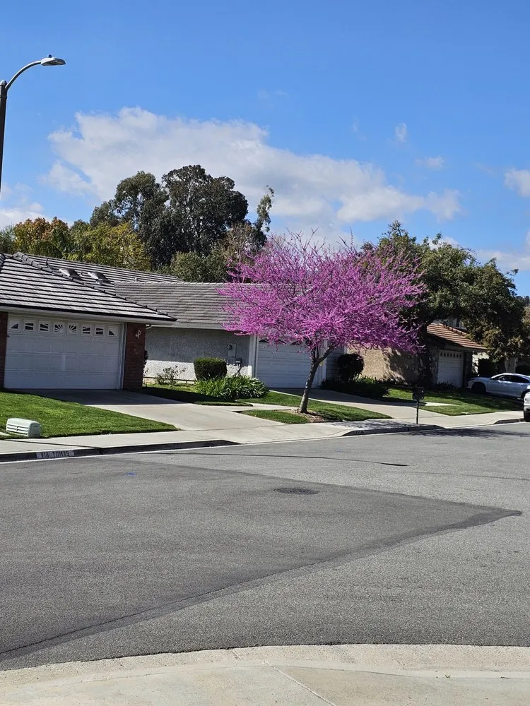 Top-rated garden landscaping for homes in Santa Clarita, CA by Landscaping Batres