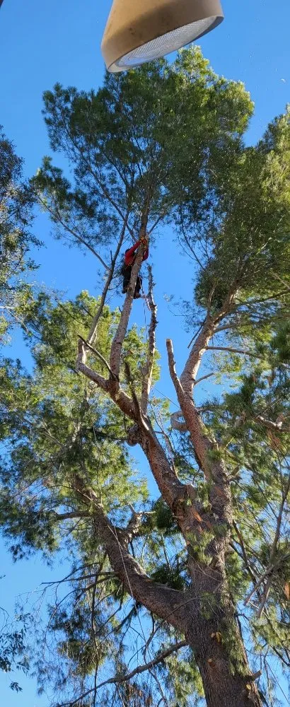 Custom residential landscaping in Santa Clarita, CA - Landscaping Batres