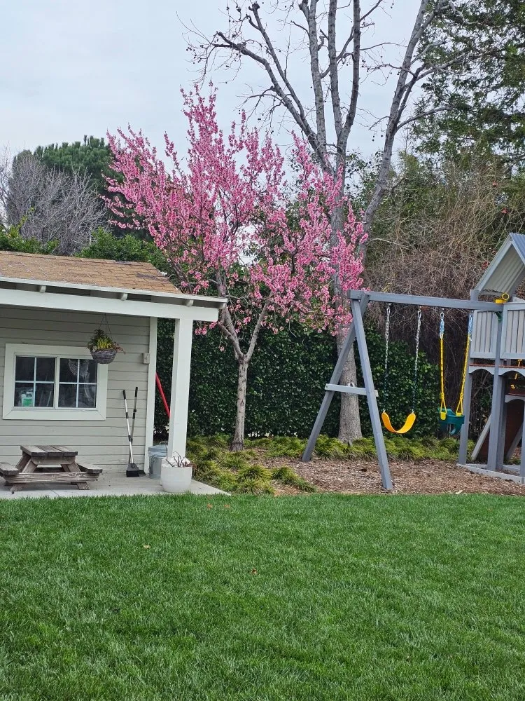 Professional landscaping services experts serving Santa Clarita, CA - Landscaping Batres